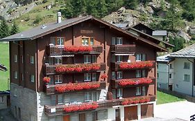 Apartment Bergfreude